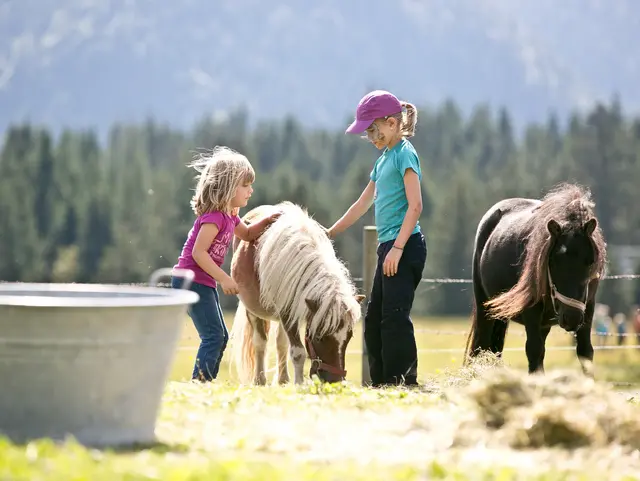 Zwei Kinder striegeln die Ponys auf dem Bauernhof