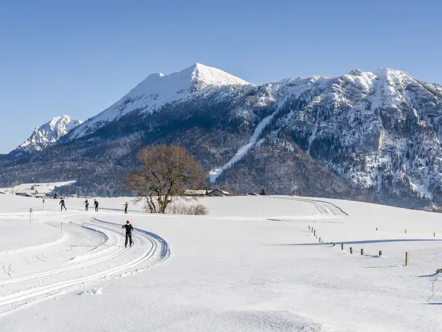 Langlaufloipe im Winter