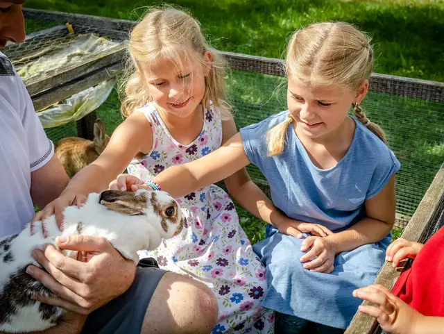 Kinder streicheln einen Hasen. 