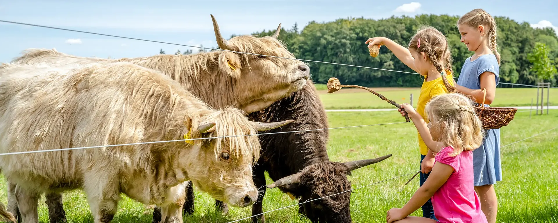 Kinder warten gespannt am Zaun auf die Rinder.