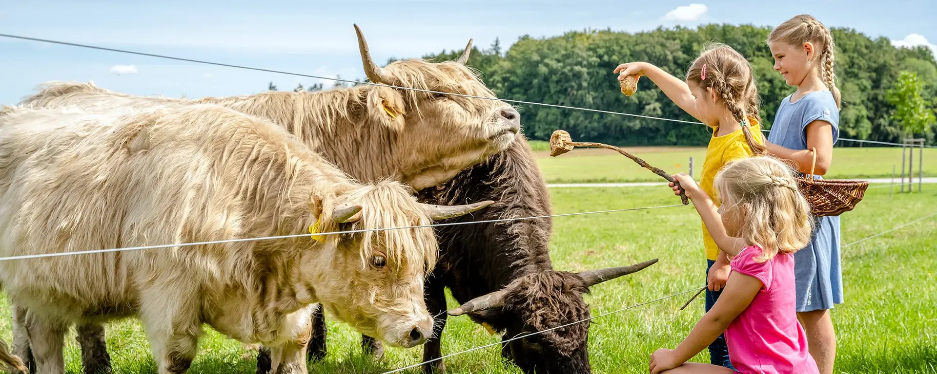 Rinder - © Medienservice ProGenuss® Kinder warten gespannt am Zaun auf die Rinder.