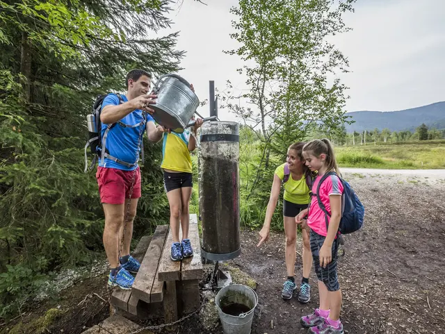 Familienwanderung auf dem Moor-Erlebnis-Pfad in Inzell