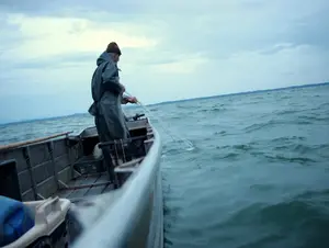 Ein Fischer von der Thomafischerei ist auf dem Chiemsee unterwegs.