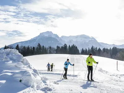 Urlaubsgäste sind zum Langlaufen in der Region unterwegs.