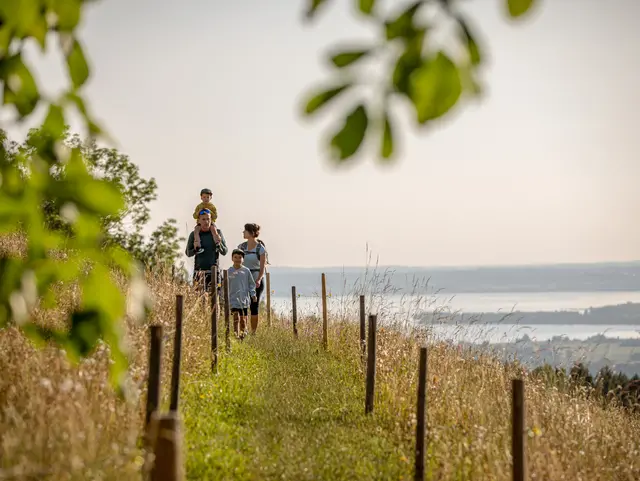 Familienwanderung im Chiemgau bei den Grassauer Almen