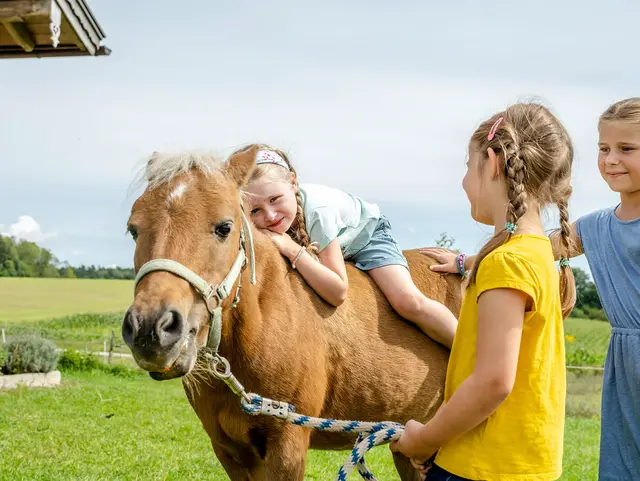 Die Urlaubskinder streicheln und striegeln das Pony