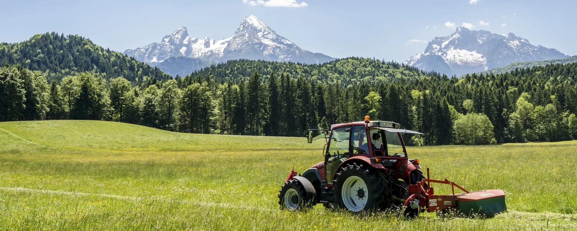 Das Feld wird mit dem Traktor und Mähwerk für Ernte Arbeiten vorbereitet.