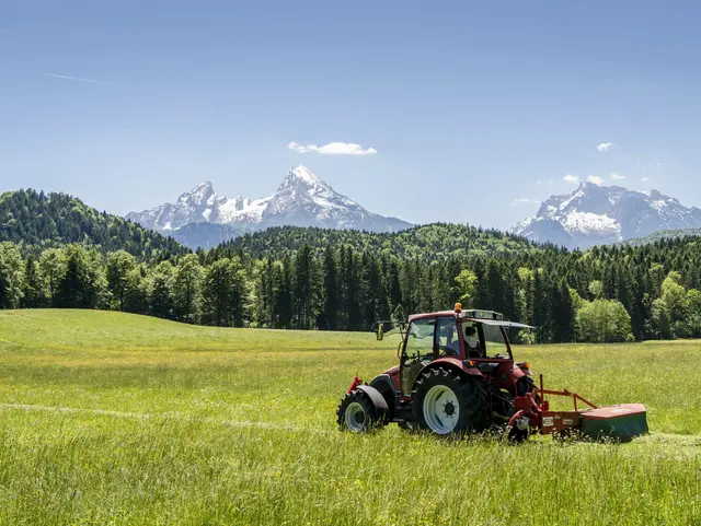 Das Feld wird mit dem Traktor und Mähwerk für Ernte Arbeiten vorbereitet.