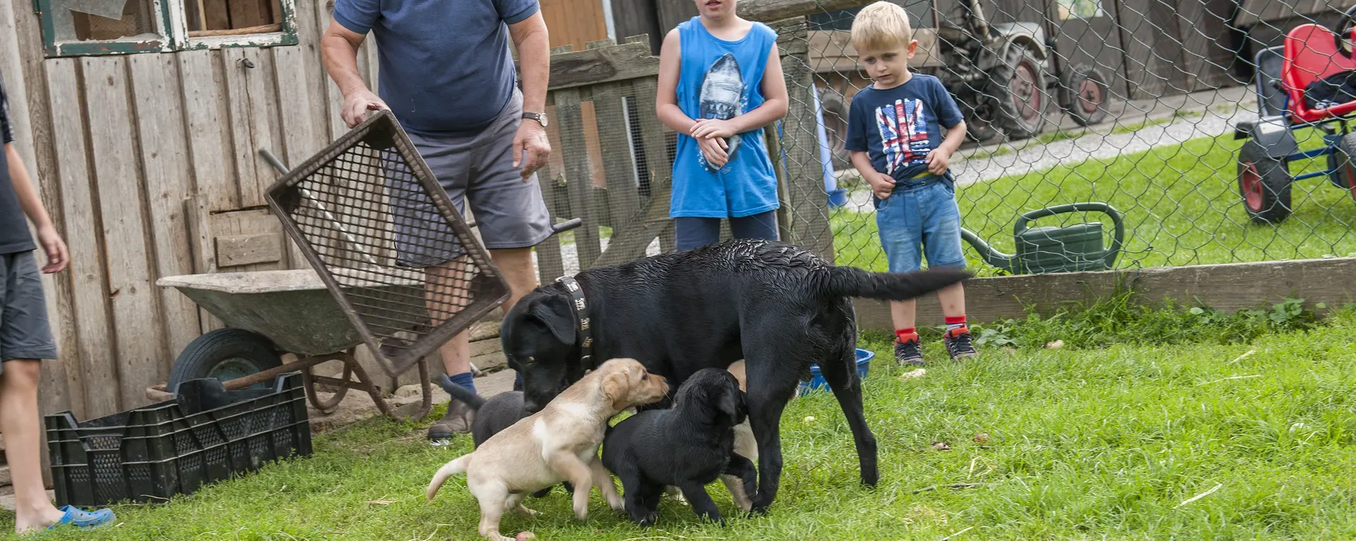 Gäste vom Huberhof aus Truchtlaching spielen mit den Hunden.