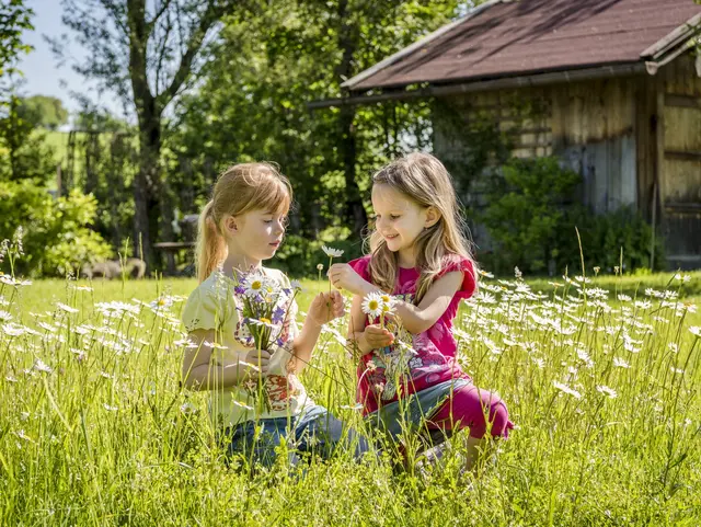 Kinder sitzen in der Wiese und sammeln Blumen